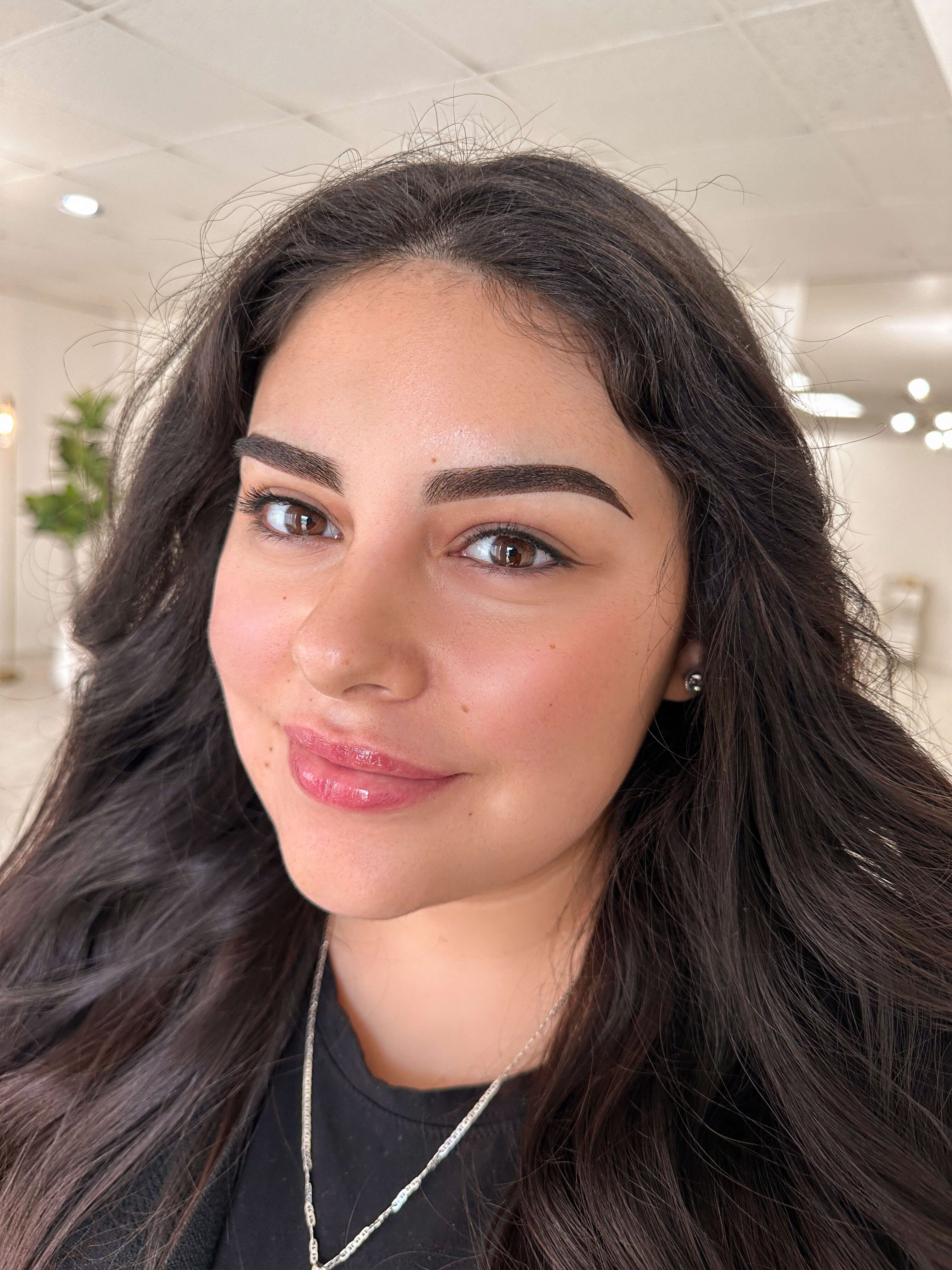 Ombré Brows